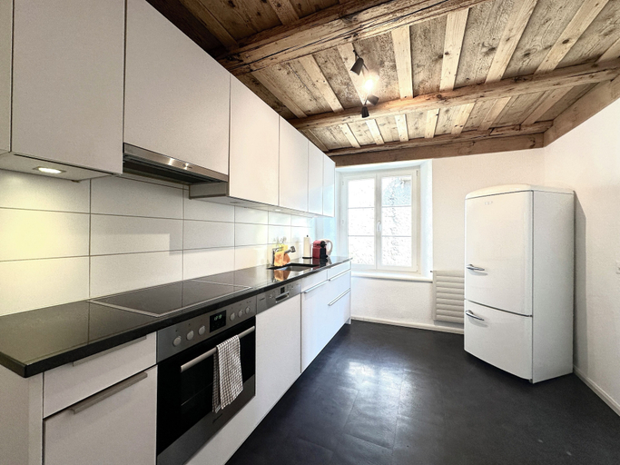 Others 3, Business Apartment Oberbipp, Wangen