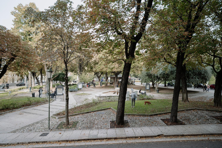 Others 4, Alatea Pradaval, Verona