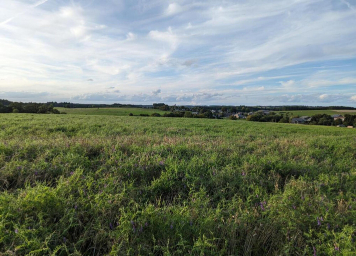 View from property 3, Quaint Holiday Home in Bievre in the Forest, Namur