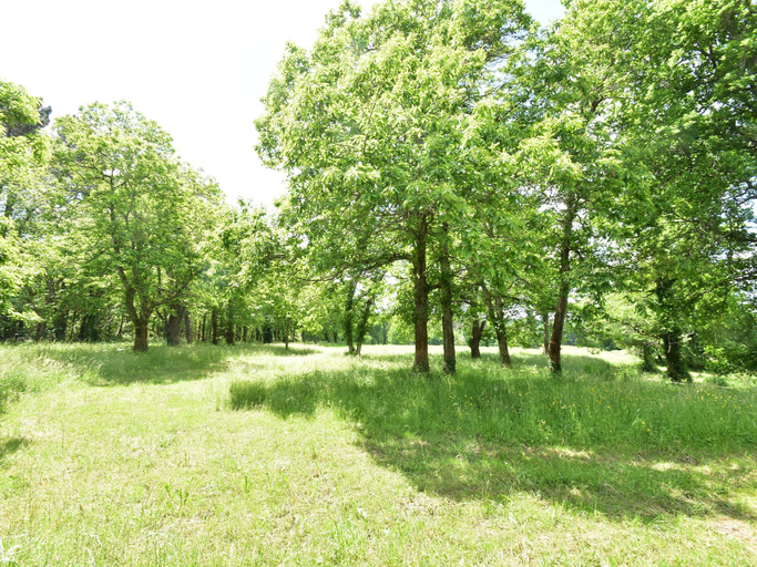 Others 5, Labardamier Garden Home, Dordogne