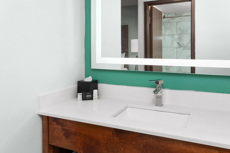 Bathroom 4, Wingate by Wyndham Sheboygan, Sheboygan