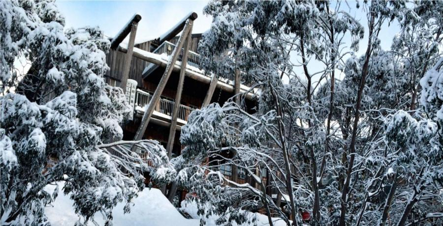 Others 5, Silverski Rooms and Apartments, Falls Creek Alpine Resort