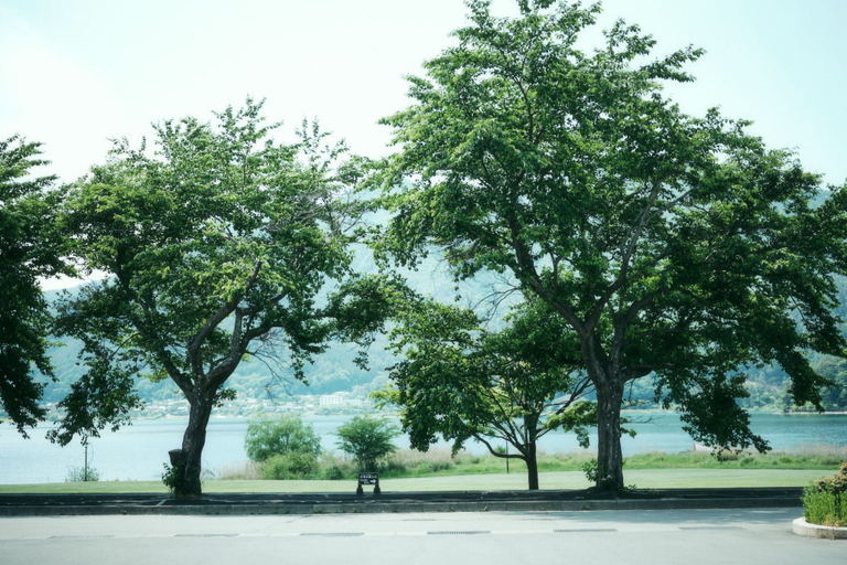 Land view from property 3, SANU 2nd Home-Kawaguchiko 2nd, Narusawa
