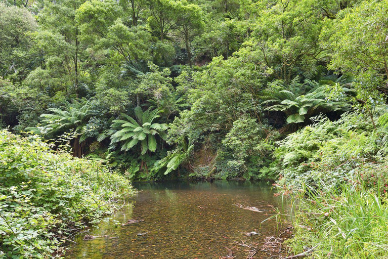 Others 2, A Little Touch Of Paradise, Colac-Otway - South