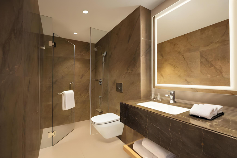 Bathroom 3, Hyatt Place Vijayawada, Krishna