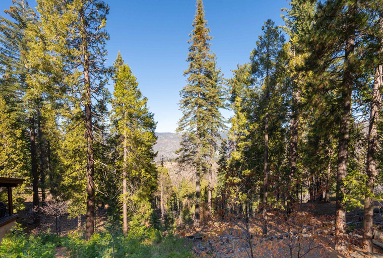 Others 3, Yosemite Aviary and Quail Within Yosemite - 2 Separate Units, Up To 14 Guests!, Mariposa