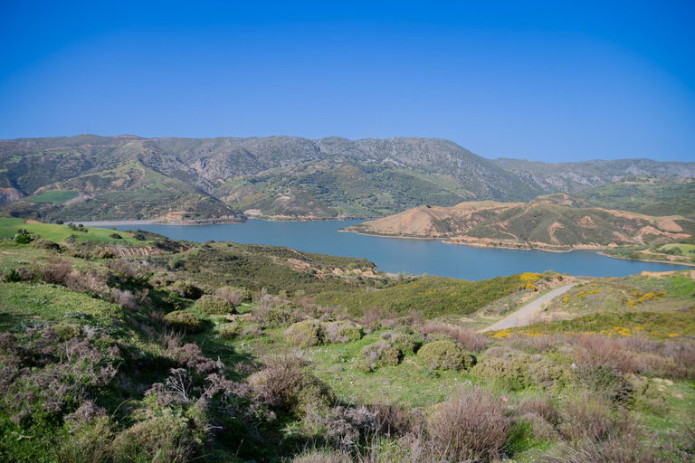 Others 5, Evergreen, Crete