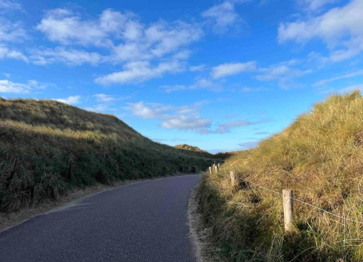 View from property 5, Chalet on Texel Near Beach and Forest, Texel
