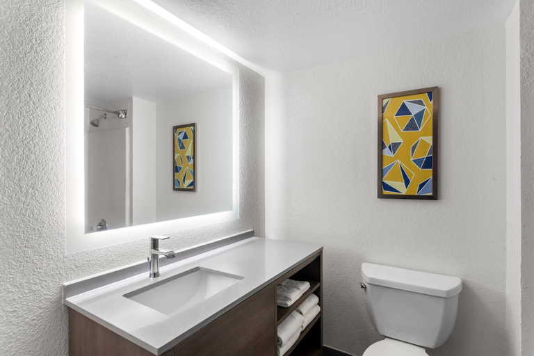 Bathroom 4, Comfort Suites Austin Airport, Travis