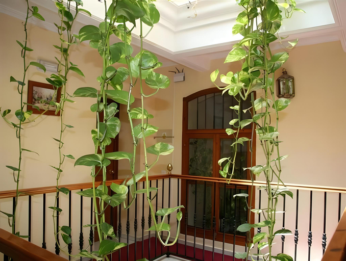 Others 5, Hostal Bahia, Cádiz