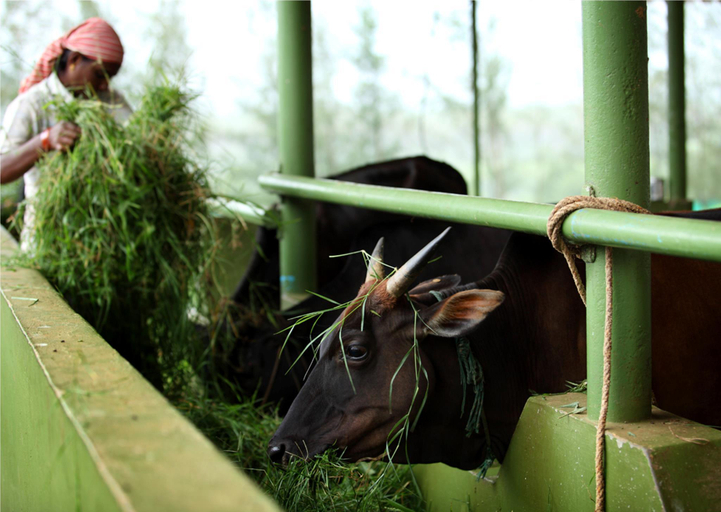Others 4, Harvest Fresh Farms Home Stay, Theni