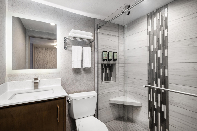 Bathroom 5, Aiden by Best Western St. George, Washington