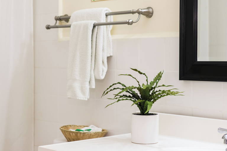 Bathroom 4, Hotel Partenon Beach, La Ceiba