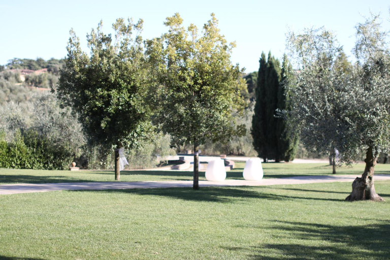 2, Agriturismo Colleoli, Pisa