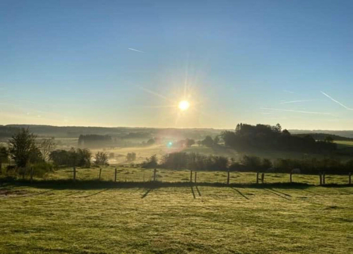 View from property 4, Quaint Holiday Home in Bievre in the Forest, Namur