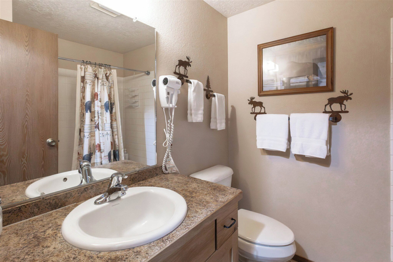 Bathroom 4, Homestead 8, Gallatin