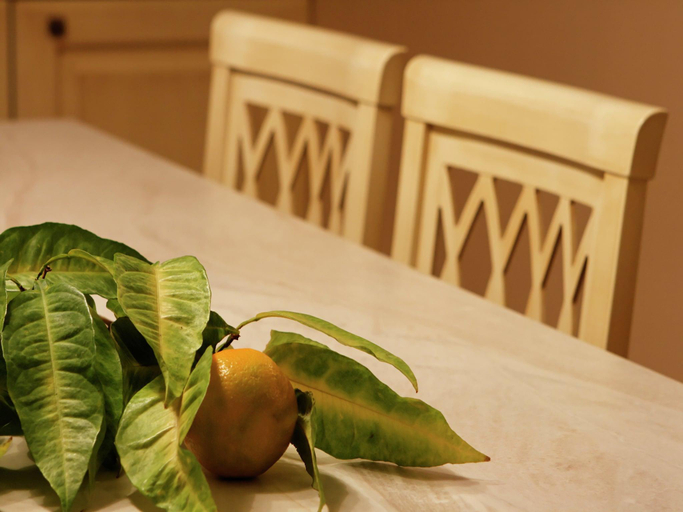 Food & Drinks, Spacious Villa at Stunning Island of Hvar with Private Pool, Hvar