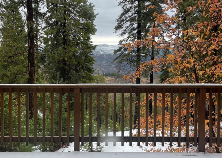 Others 2, Yosemite Aviary and Quail Within Yosemite - 2 Separate Units, Up To 14 Guests!, Mariposa