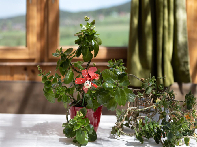 Others 4, Ferienhaus in Bayern am Grosser Arber, Cham