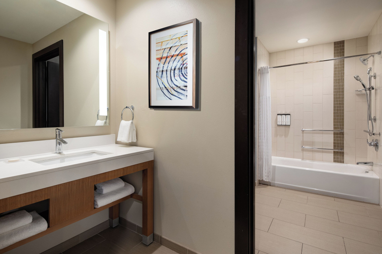 Bathroom 5, Hyatt Place Grand Rapids Downtown, Kent