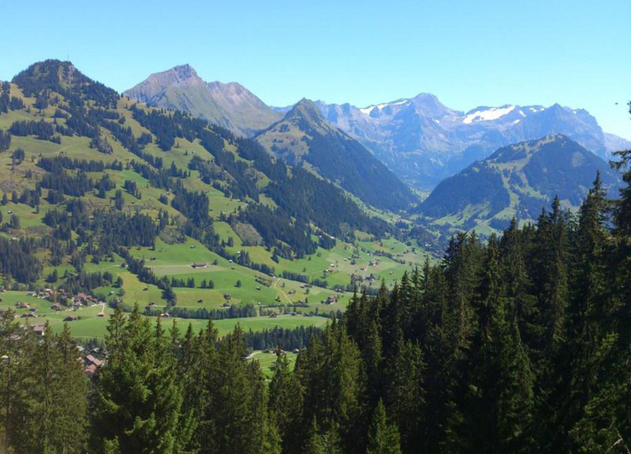 Others 5, Lush Apartment With Terrace Views, Saanen
