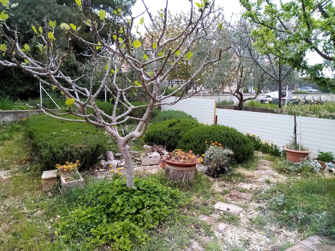 Others 2, bedroom apartment with terrace, Biograd na Moru