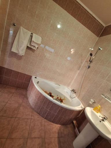 Bathroom 2, Барселона, Ovidiopol's'kyi