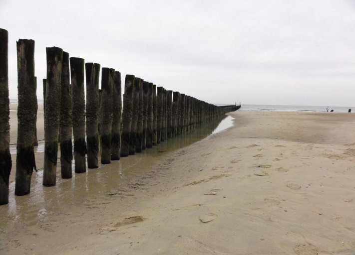 View from property 5, Studio in Domburg Near Beach and Nature Reserve, Veere