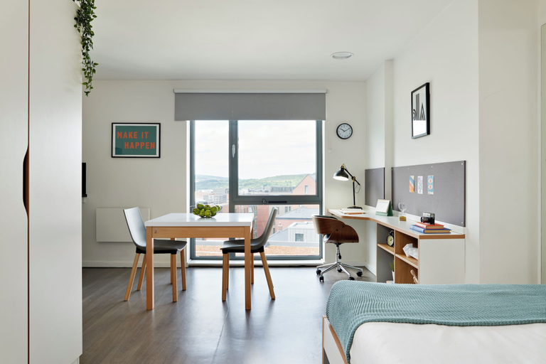 Room 3, For Students Only Stylish Rooms in Sheffield, Sheffield