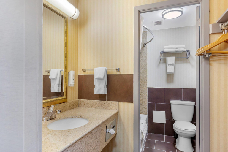 Bathroom 5, Quality Inn Toronto Airport, Peel