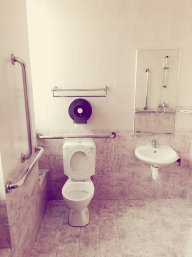 Bathroom 2, Golden Star Hotel, Singapura