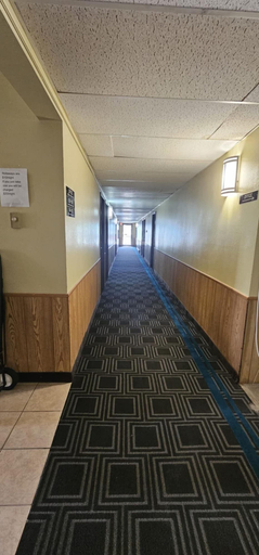 Others 4, Warrior INN, Tripp