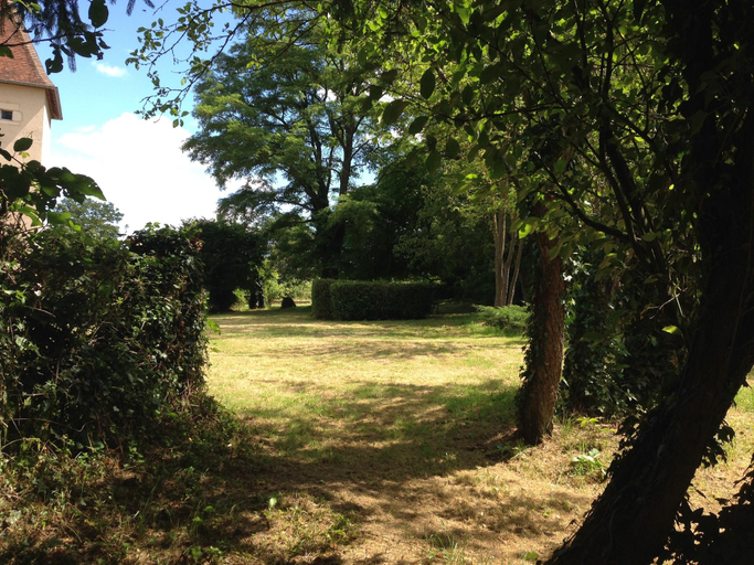 Others 4, Castle in Le Veurdre near Forest and River, Allier