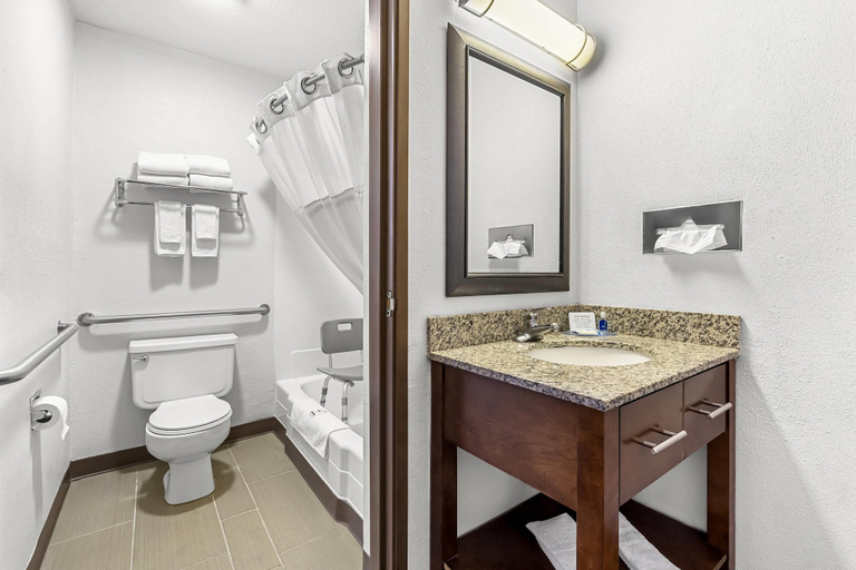 Bathroom 4, Rodeway Inn Rapid City, Pennington