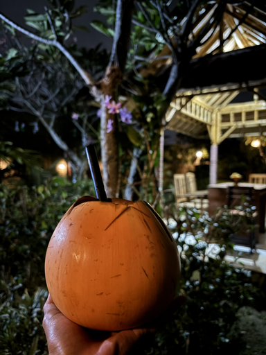 Food & Drinks 5, Sriwedari House Keramas, Gianyar