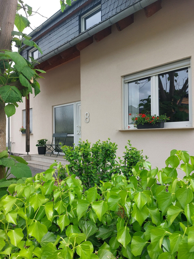 Exterior & Views 5, FeWo's Wintrich by Brauneberger Hof, Bernkastel-Wittlich