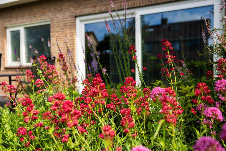 Others 2, B&B om de hoek, Sluis