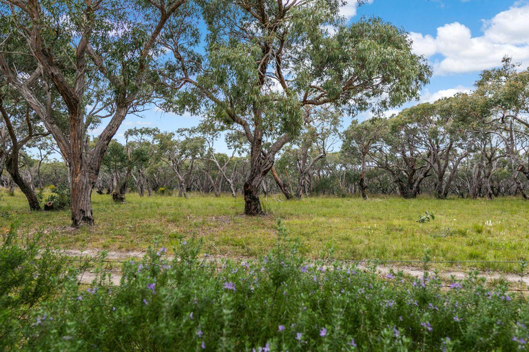 Others 5, Haven On Harvey, Surf Coast - West