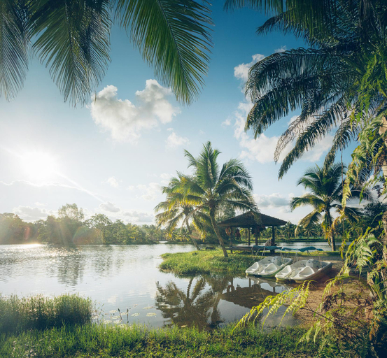 Others 5, Mangala Estate Boutique Resort By IHG, Kuantan
