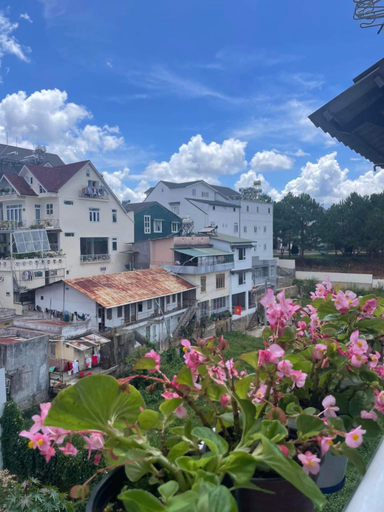 Others 4, Ly Ly Homestay, Đà Lạt