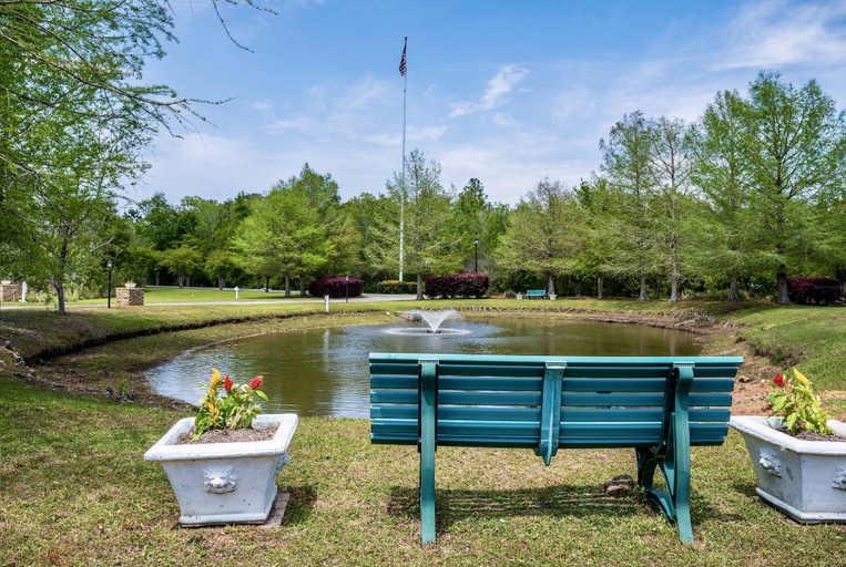 Others 5, Southern Serenity, Baldwin