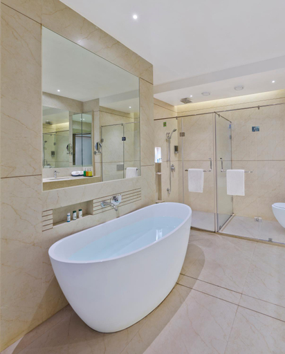 Bathroom 5, Shivsagar Resort and Spa, Satara