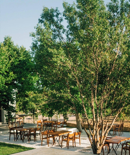 Food & Drinks 5, Riserva Butik Otel, Urla