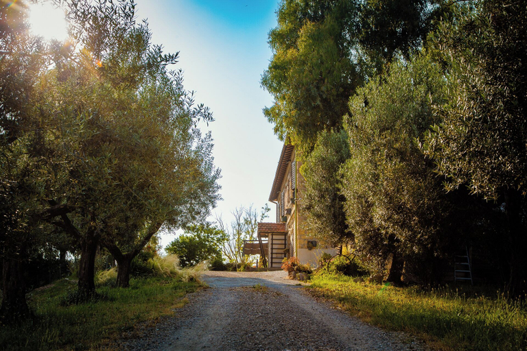 Exterior & Views 2, Locanda Villa Naumanni, Viterbo