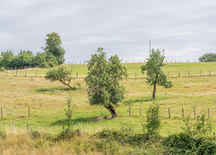 View from property 5, Quaint Holiday Home in Bievre in the Forest, Namur