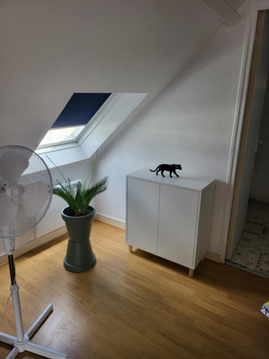 5, Appartement style loft en centre ville, Loir-et-Cher