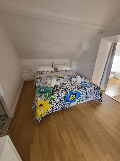 Others 5, Appartement style loft en centre ville, Loir-et-Cher