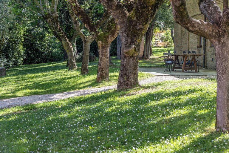 Others 4, Borgo Sorbatti Country House, Macerata