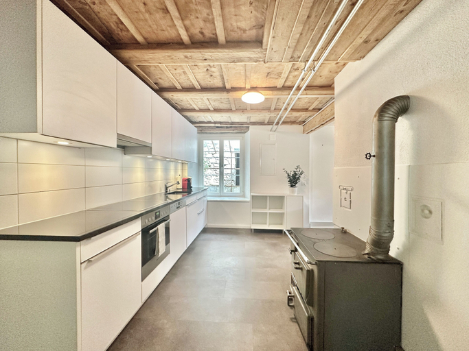 Others 5, Business Apartment Oberbipp, Wangen