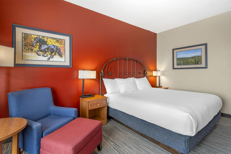 Bedroom 3, Best Western Bronco Inn, Adams